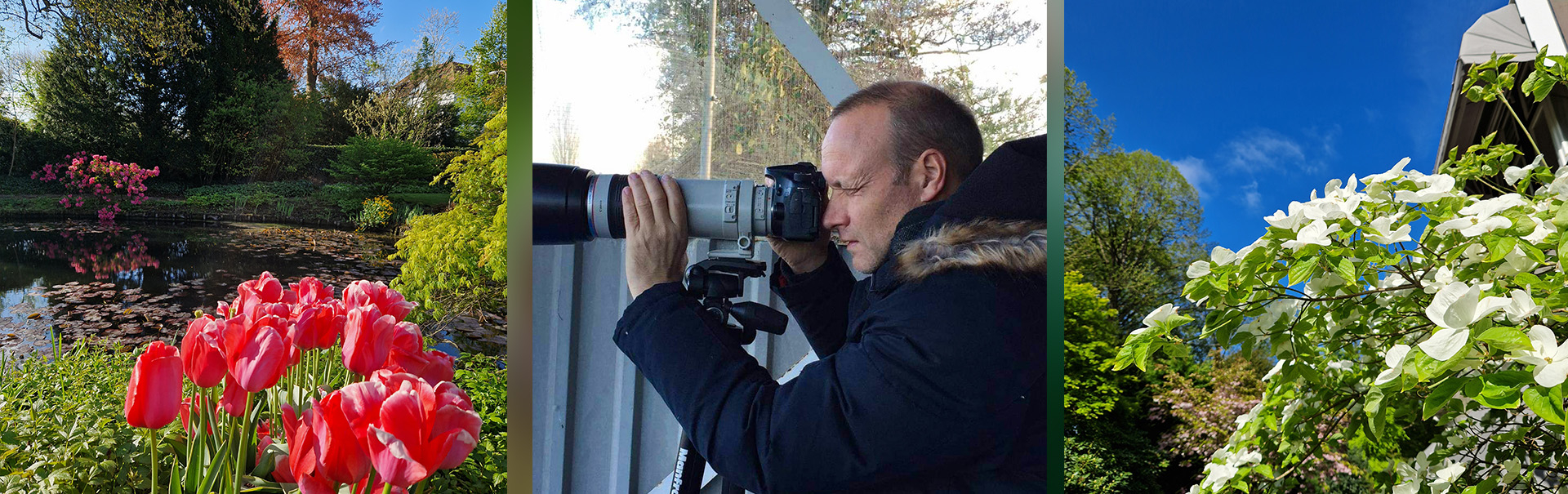 Wesseling Tuinen
