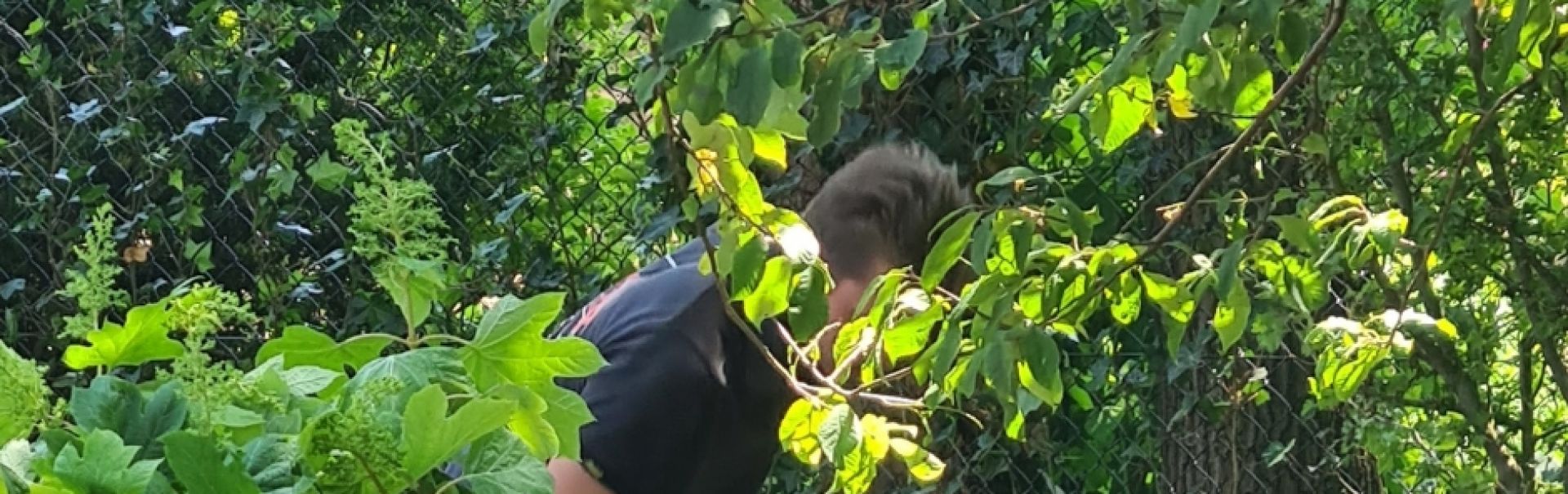Wesseling Tuinen