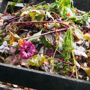 De Mannen aan het woord, Koen: Zelf compost maken 1